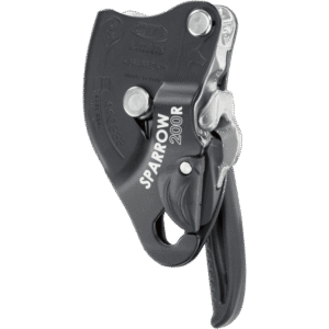 Sparrow 200R RGT-A-060-SW