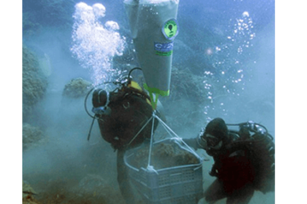 commercial-lift-bags-in-use